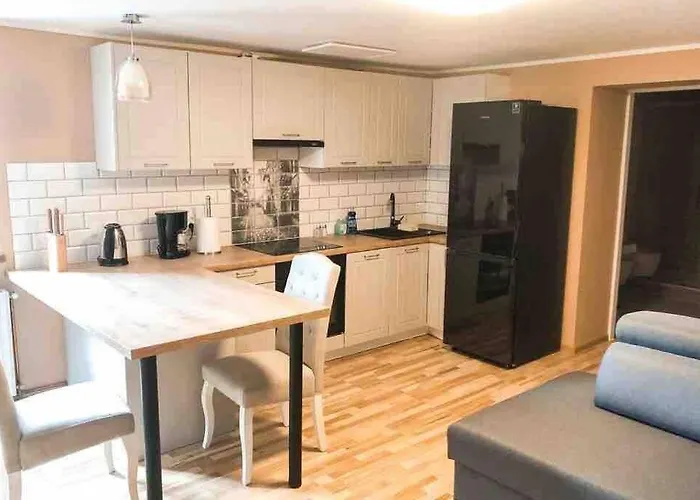 Apartmán Mieszkanie W Kamienicy W Centrum Dusznik Zdroju *